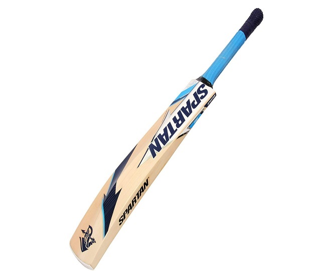 Heaviest Cricket Bats Know What David Warner, Tendulkar, MS Dhoni, And